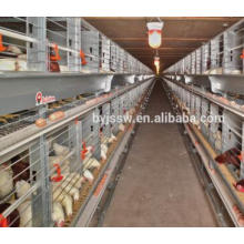 cages de poulailler de pliage / ferme de poulet / poulailler